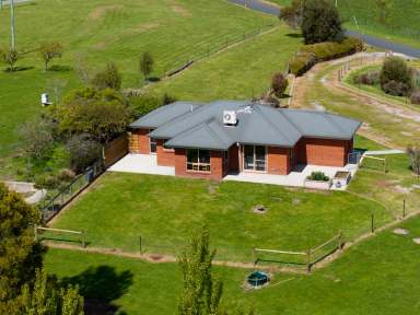 Farm For Sale - TAS - Glengarry - 7275 - Charming Gem on 2.2 Acres  (Image 2)