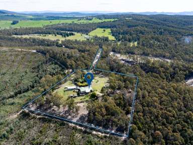 Farm For Sale - TAS - Pipers River - 7252 - Private Country Retreat on 5 Acres  (Image 2)