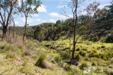 Farm For Sale - NSW - Mudgee - 2850 - THE PERFECT ESCAPE  (Image 2)