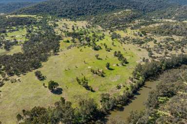 Farm For Sale - NSW - Bigga - 2583 - Beautiful homestead, perfectly positioned on 160 Acres  (Image 2)