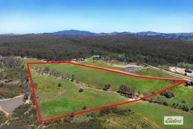 Farm For Sale - VIC - Axe Creek - 3551 - 17 ACRES – PEACE & TRANQUILITY  (Image 2)