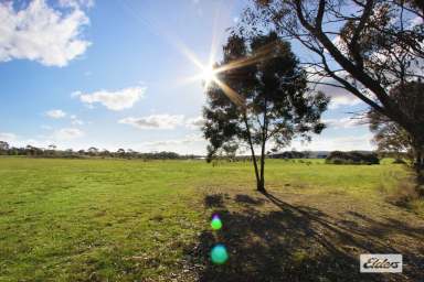 Farm For Sale - VIC - Axe Creek - 3551 - 17 ACRES – PEACE & TRANQUILITY  (Image 2)