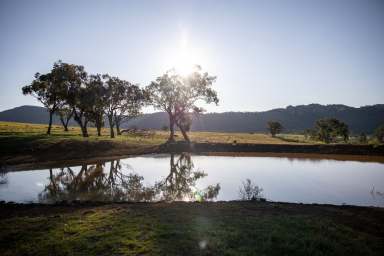 Farm For Sale - NSW - Rylstone - 2849 - Bylong Valley Beef Cattle & Cropping - 43 Titles  (Image 2)