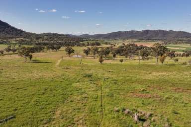 Farm For Sale - NSW - Rylstone - 2849 - Bylong Valley Beef Cattle & Cropping - 43 Titles  (Image 2)