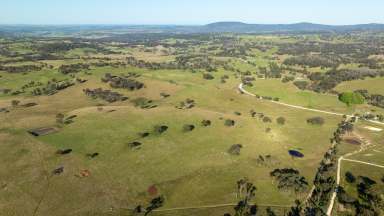 Farm For Sale - NSW - Armidale - 2350 - When Presentation Matters  (Image 2)