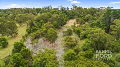 Farm For Sale - VIC - Tyers - 3844 - LIVE THE DREAM IN TYERS - 10 ACRES  (Image 2)