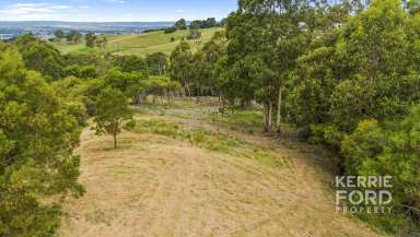 Farm For Sale - VIC - Tyers - 3844 - LIVE THE DREAM IN TYERS - 10 ACRES  (Image 2)