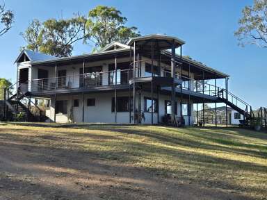 Farm For Sale - QLD - Bondoola -  4703 - MOTIVATED SELLER "FIGTREE" BONDOOLA QLD  (Image 2)