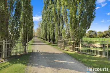 Farm For Sale - VIC - Yannathan - 3981 - 217 Acres - Two Titles  (Image 2)