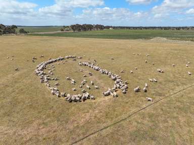 Farm For Sale - VIC - Duverney - 3323 - QUALITY BOLT-ON BLOCK  (Image 2)