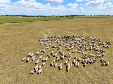 Farm For Sale - VIC - Duverney - 3323 - QUALITY BOLT-ON BLOCK  (Image 2)