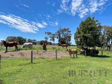 Farm For Sale - QLD - Ban Ban - 4625 - Quality Grazing Block  (Image 2)