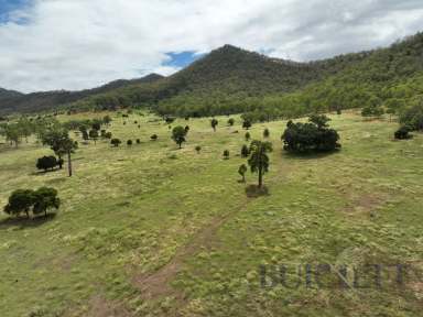 Farm For Sale - QLD - Ban Ban - 4625 - Quality Grazing Block  (Image 2)