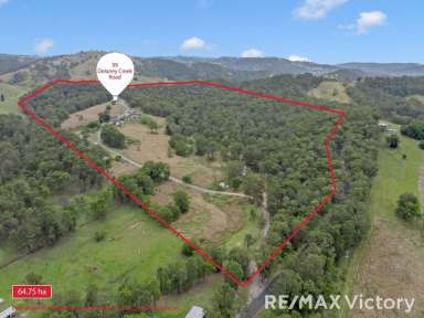 Farm For Sale - QLD - Delaneys Creek - 4514 - 160-ACRES OF IDYLLIC RURAL LIFESTYLE LIVING IN DELANEYS CREEK  (Image 2)