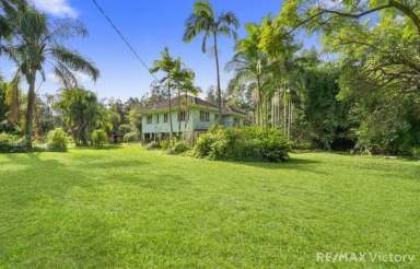 Farm For Sale - QLD - Caboolture - 4510 - SO MANY OPTIONS HERE.  (Image 2)