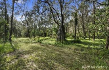 Farm For Sale - QLD - Caboolture - 4510 - SO MANY OPTIONS HERE.  (Image 2)