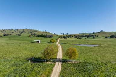 Farm For Sale - NSW - Tumut - 2720 - Nimbo Station  (Image 2)