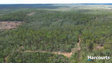 Farm For Sale - QLD - Booyal - 4671 - 118 ACRE BUSH BLOCK WITH DAM  (Image 2)