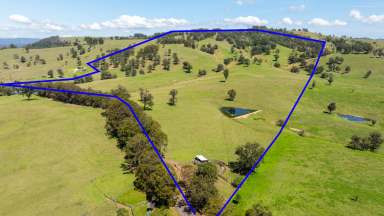 Farm For Sale - NSW - Dungog - 2420 - 'Lower Wycombe'  (Image 2)