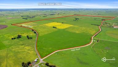 Farm For Sale - SA - Kongorong - 5291 - "Rutland" - 825 Acres of Prime Farmland  (Image 2)