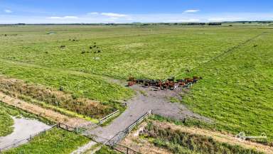 Farm For Sale - SA - Eight Mile Creek - 5291 - COASTAL FARMING OPPORTUNITY - EXCELLENT TURNOUT BLOCK  (Image 2)