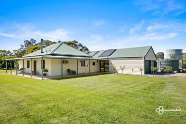 Farm For Sale - SA - Koorine - 5279 - COUNTRY COTTAGE SET IN PICTURESQUE REDGUM COUNTRY - HIGH RAINFALL AREA  (Image 2)