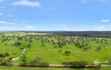 Farm For Sale - SA - Koorine - 5279 - COUNTRY COTTAGE SET IN PICTURESQUE REDGUM COUNTRY - HIGH RAINFALL AREA  (Image 2)