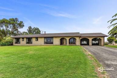 Farm For Sale - SA - Glenburnie - 5291 - Beautifully Presented Brick & Tile Home on 28 Acres  (Image 2)