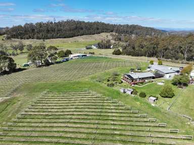 Farm For Sale - TAS - Loira - 7275 - Spring in Winter Brook  (Image 2)