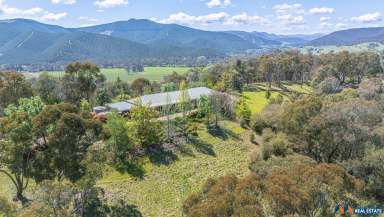 Farm For Sale - VIC - Myrtleford - 3737 - PANORAMIC VIEWS THAT CHANGE WITH THE SEASONS  (Image 2)