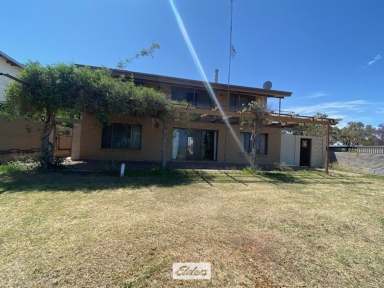 Farm For Sale - NSW - Menindee - 2879 - PANORAMIC LAKESIDE RETREAT  (Image 2)