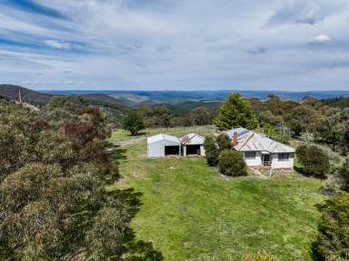 Farm For Sale - NSW - Burraga - 2795 - Pineview - 40 acres  (Image 2)