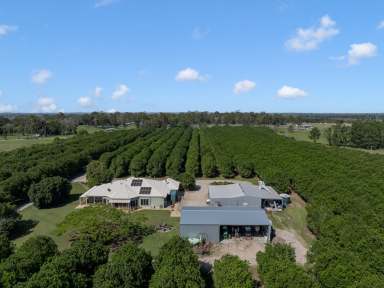 Farm For Sale - QLD - Donnybrook - 4510 - ‘Glendamia Park’ - Award-Winning Macadamia Farm with Modern Colonial Residence  (Image 2)