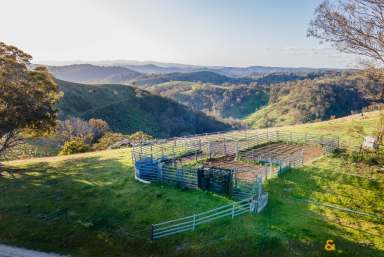 Farm For Sale - NSW - Walcha - 2354 - Walcha Wonderland  (Image 2)