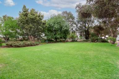 Farm For Sale - VIC - Beverford - 3590 - Home On The Ranch  (Image 2)