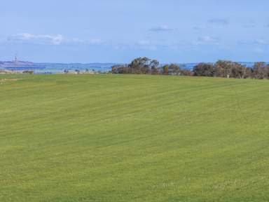 Farm For Sale - SA - Emu Downs - 5381 - Opportunity to Expand Your Cropping Enterprise  (Image 2)