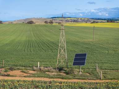 Farm For Sale - SA - Emu Downs - 5381 - Opportunity to Expand Your Cropping Enterprise  (Image 2)