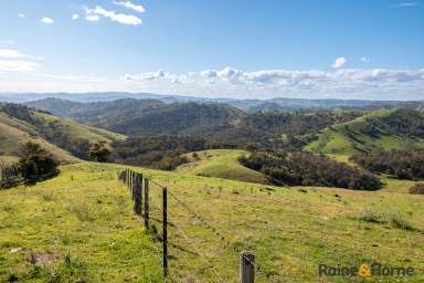 Farm For Sale - NSW - Walcha - 2354 - Rural Retreat  (Image 2)