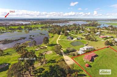 Farm For Sale - VIC - Longford - 3851 - Subdivision potential/ Golf Course Location/Mountain views  (Image 2)