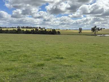 Farm For Sale - WA - Dale - 6304 - San Martino Farm (Established 1964)  (Image 2)