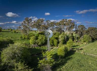 Farm Auction - NSW - Taralga - 2580 - Rural Lifestyle and Productive Farmland, Southern Tablelands
279 hectares | 690 acres*  (Image 2)