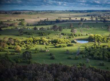 Farm Auction - NSW - Taralga - 2580 - Rural Lifestyle and Productive Farmland, Southern Tablelands
279 hectares | 690 acres*  (Image 2)