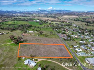 Farm For Sale - NSW - Willow Tree - 2339 - Lifestyle Block  (Image 2)