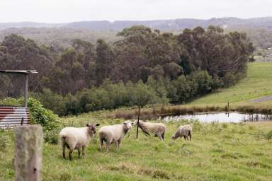 Farm For Sale - NSW - Conjola - 2539 - Coastal Farm Haven: 40 Acres of Peace and Sustainability  (Image 2)