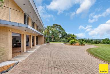 Farm Auction - QLD - Earlville - 4870 - PALATIAL HILLSIDE RESIDENCE OFFERING UNINTERUPTED CITY VIEWS AND PRIVACY  (Image 2)