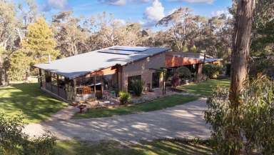 Farm For Sale - VIC - Smythes Creek - 3351 - The Ultimate Family Home And Entertainers Paradise  (Image 2)