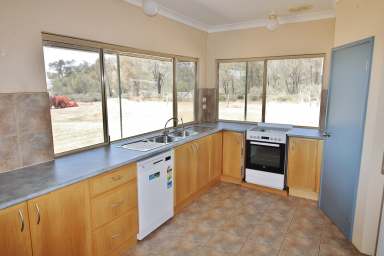 Farm For Sale - WA - Wagin - 6315 - Farmlet Delight (Home open 27/10/2024)  (Image 2)