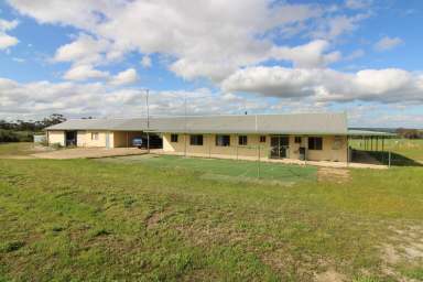 Farm For Sale - WA - Wagin - 6315 - Farmlet Delight (Home open 27/10/2024)  (Image 2)