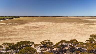 Farm For Sale - WA - Holleton - 6426 - HOLLETON BLOCK  (Image 2)