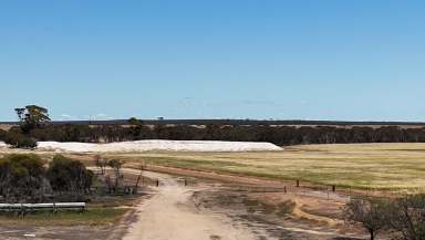 Farm For Sale - WA - Holleton - 6426 - HOLLETON BLOCK  (Image 2)